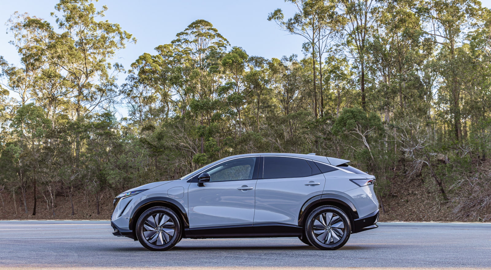 EV Milestones